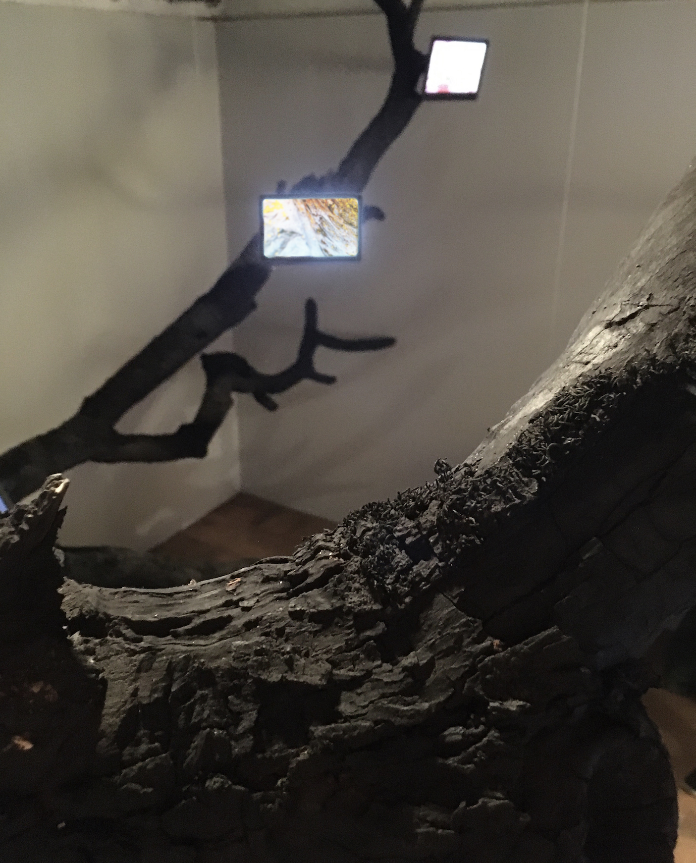 Intra-Action Installation